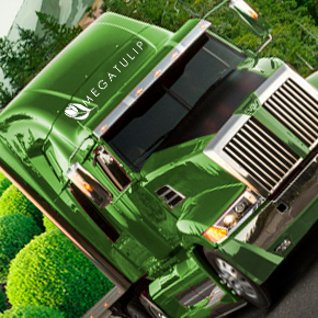 MegaTulip Ltd
